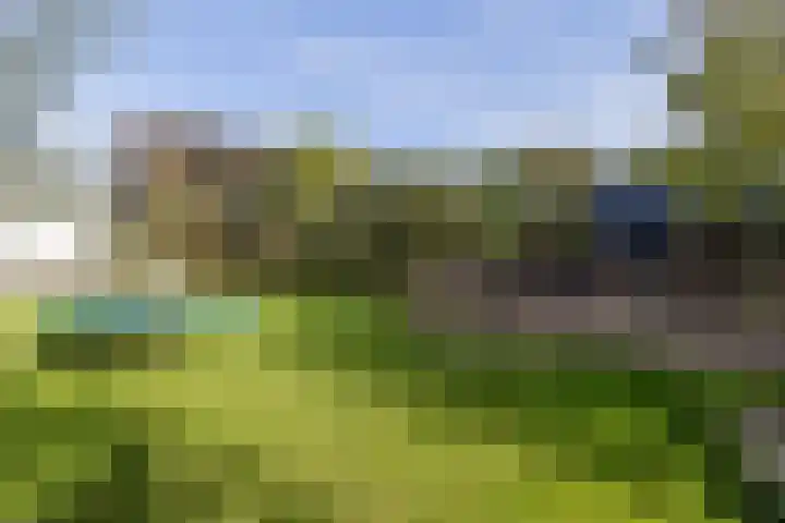 Noordeinde 88 Aarlanderveen thumbnail 63