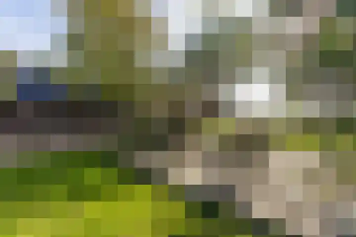 Noordeinde 88 Aarlanderveen thumbnail 65