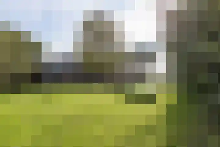 Noordeinde 88 Aarlanderveen thumbnail 66