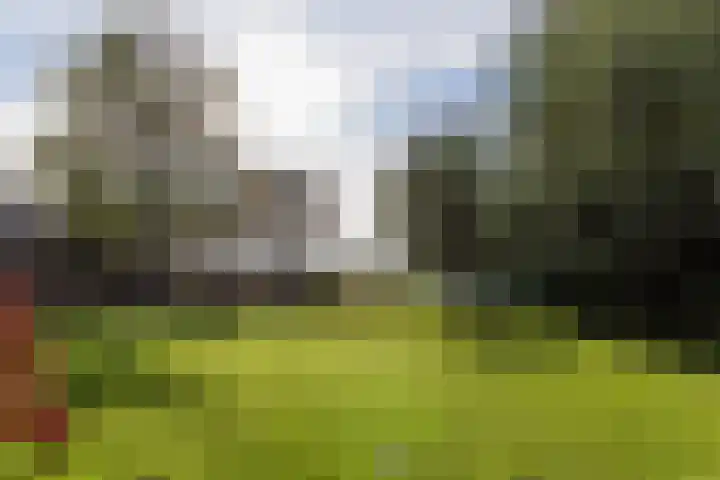 Noordeinde 88 Aarlanderveen thumbnail 67