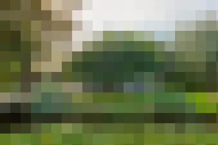 Noordeinde 88 Aarlanderveen thumbnail 7