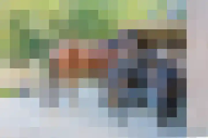 Noordeinde 88 Aarlanderveen thumbnail 70