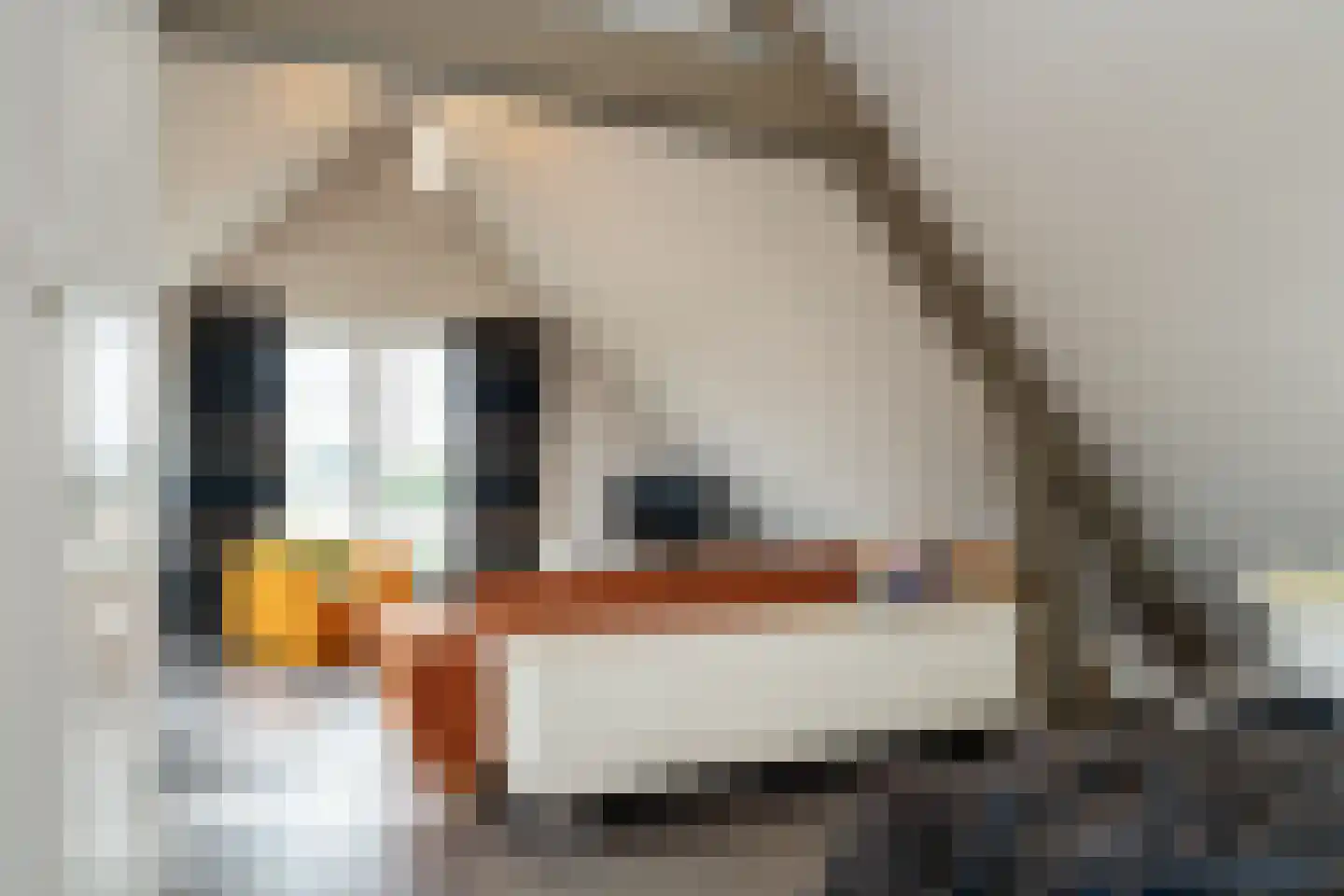 Noordeinde 88 Landsmeer thumbnail 61