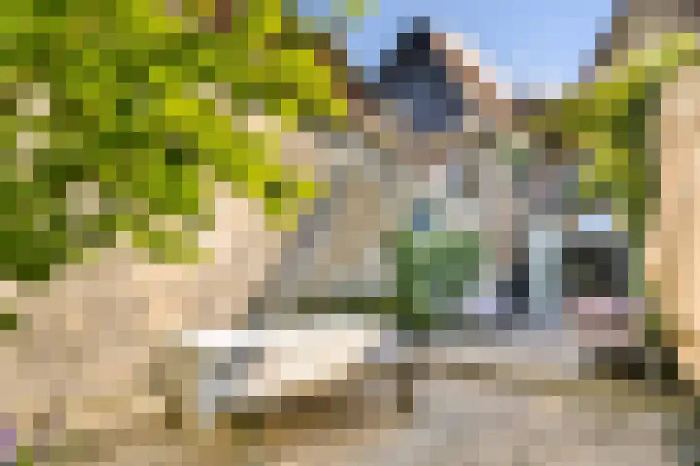 Noordeinde 9 Monnickendam thumbnail 16