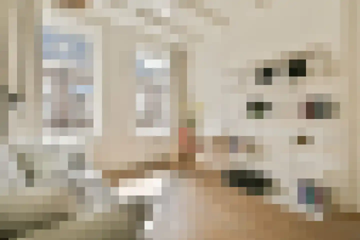 Noordeinde 9 Monnickendam thumbnail 20