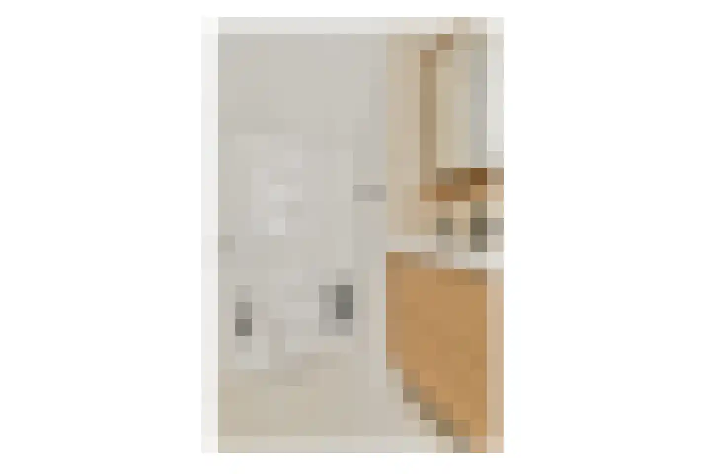 Noordeinde 9 Monnickendam thumbnail 22