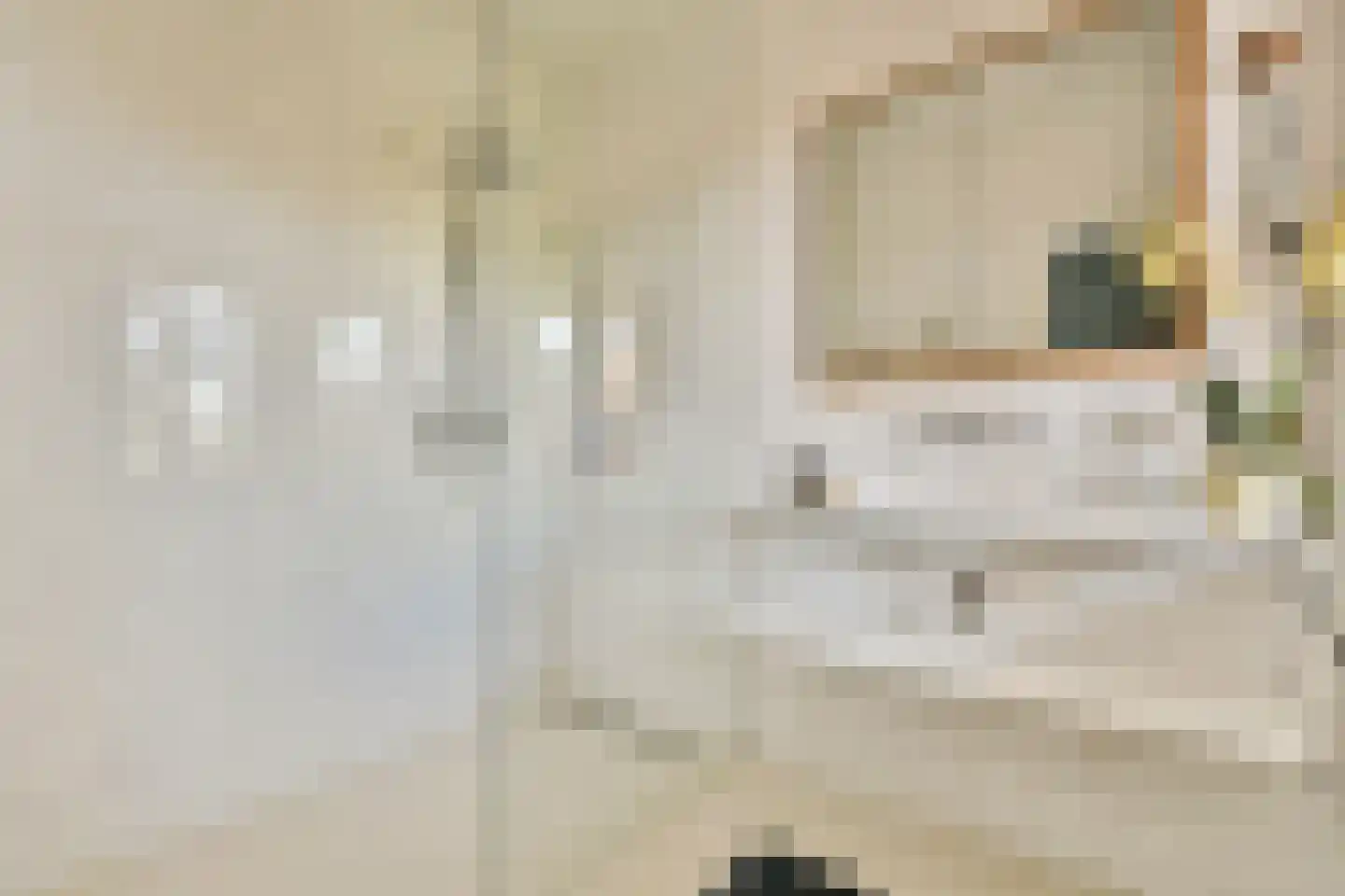 Noordeinde 9 Monnickendam thumbnail 25