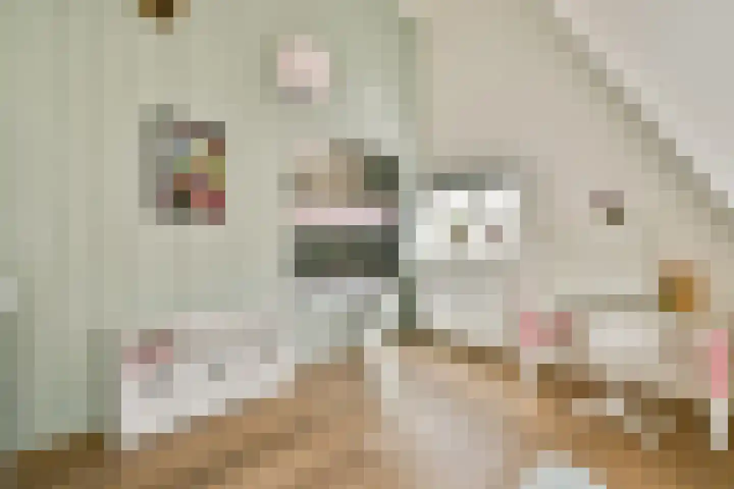 Noordeinde 9 Monnickendam thumbnail 31