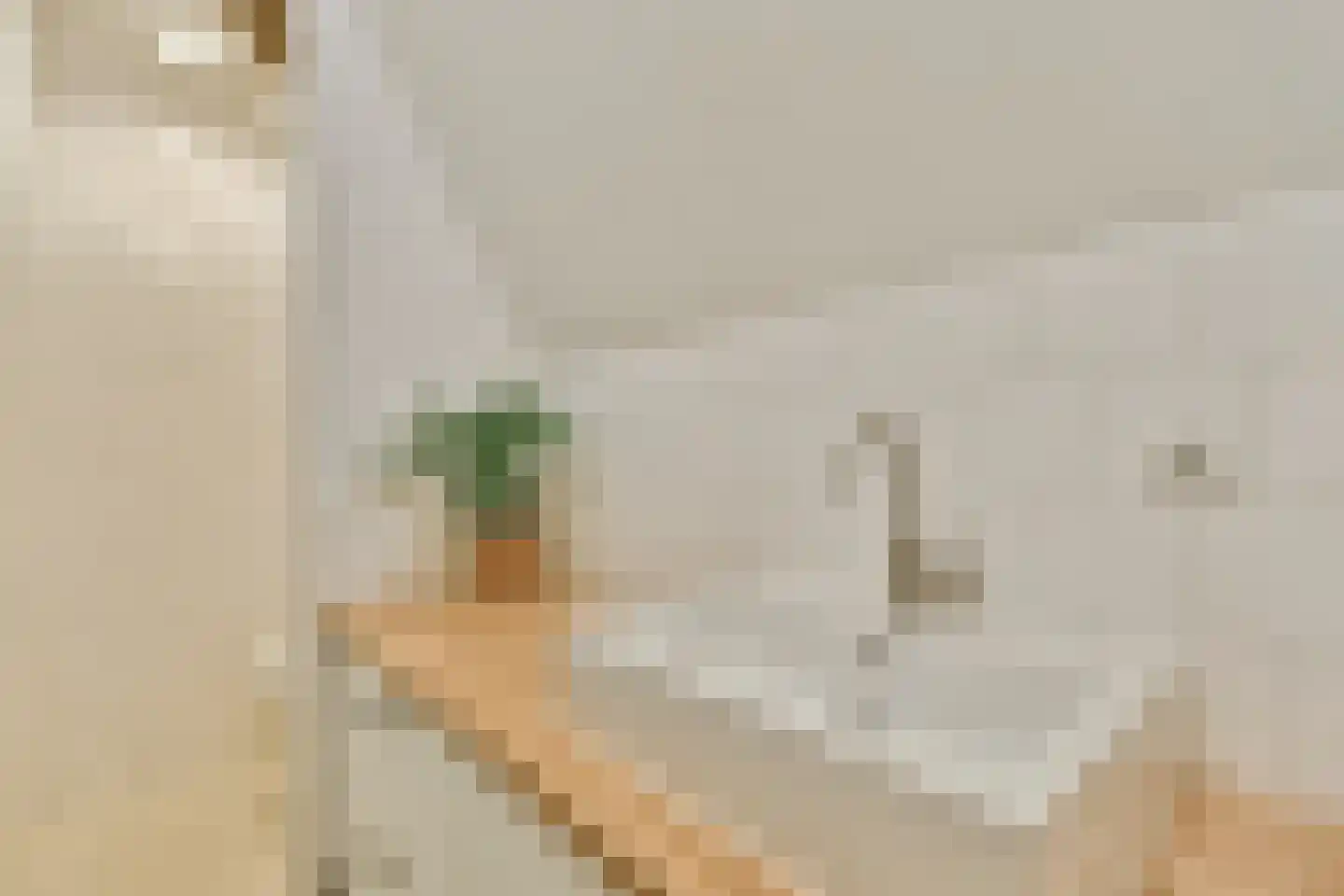 Noordeinde 9 Monnickendam thumbnail 34