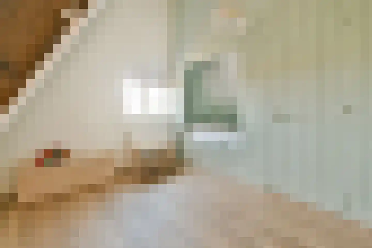 Noordeinde 9 Monnickendam thumbnail 36