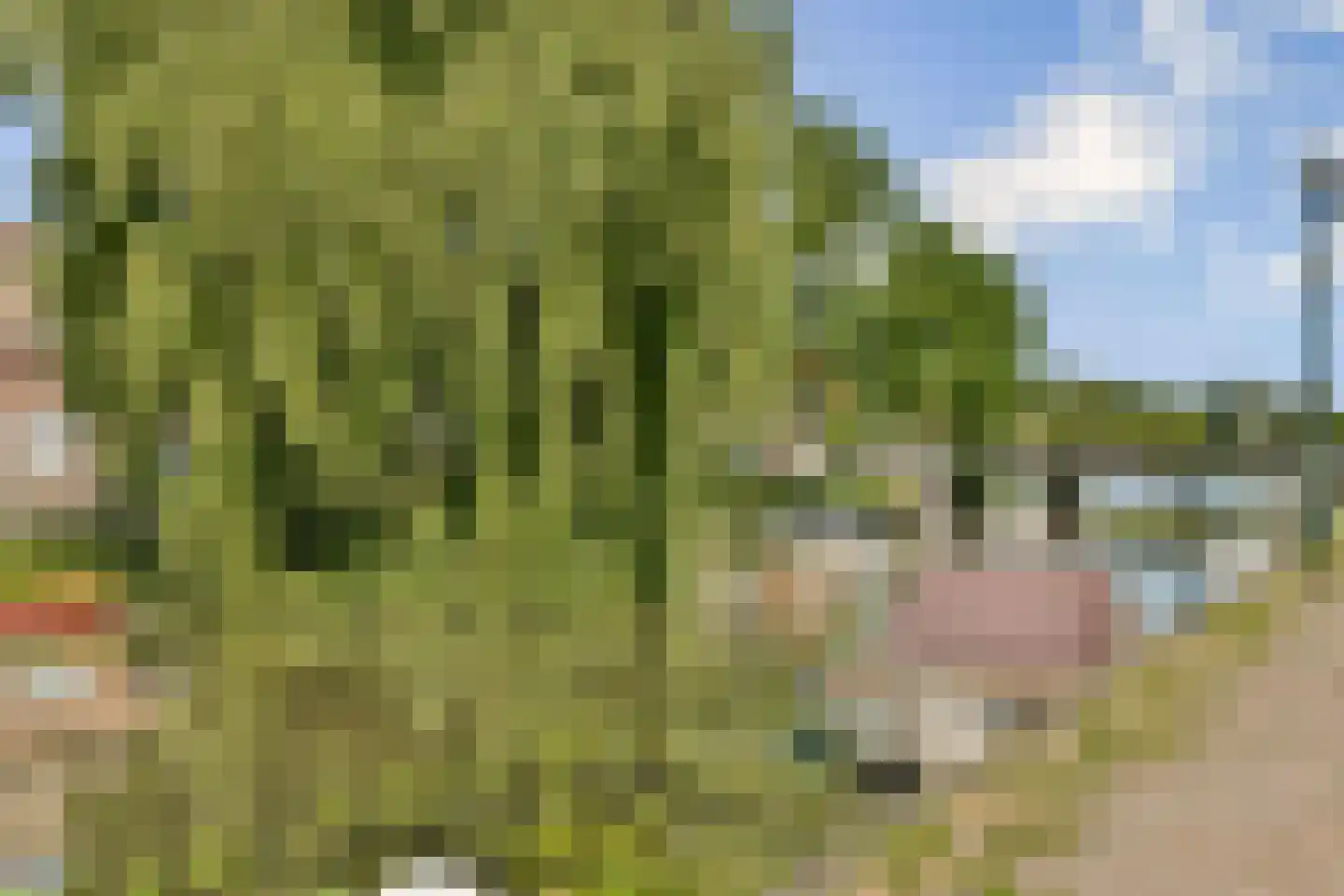 Noordeinde 9 Monnickendam thumbnail 38