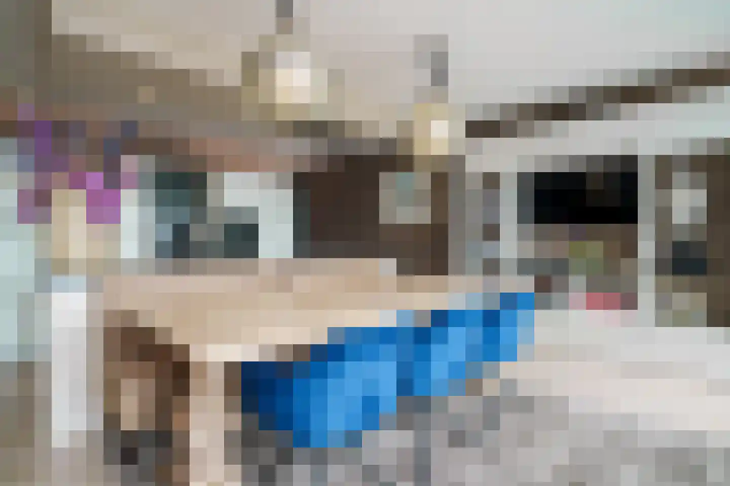 Noordeinde 90 Landsmeer thumbnail 18