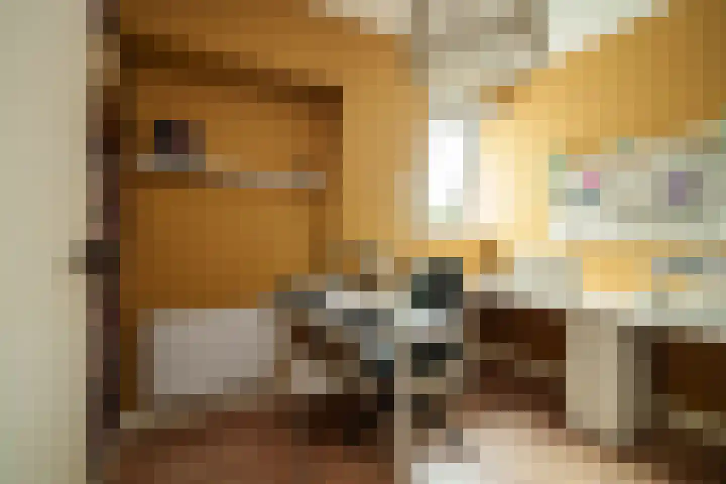 Noordeinde 90 Landsmeer thumbnail 33