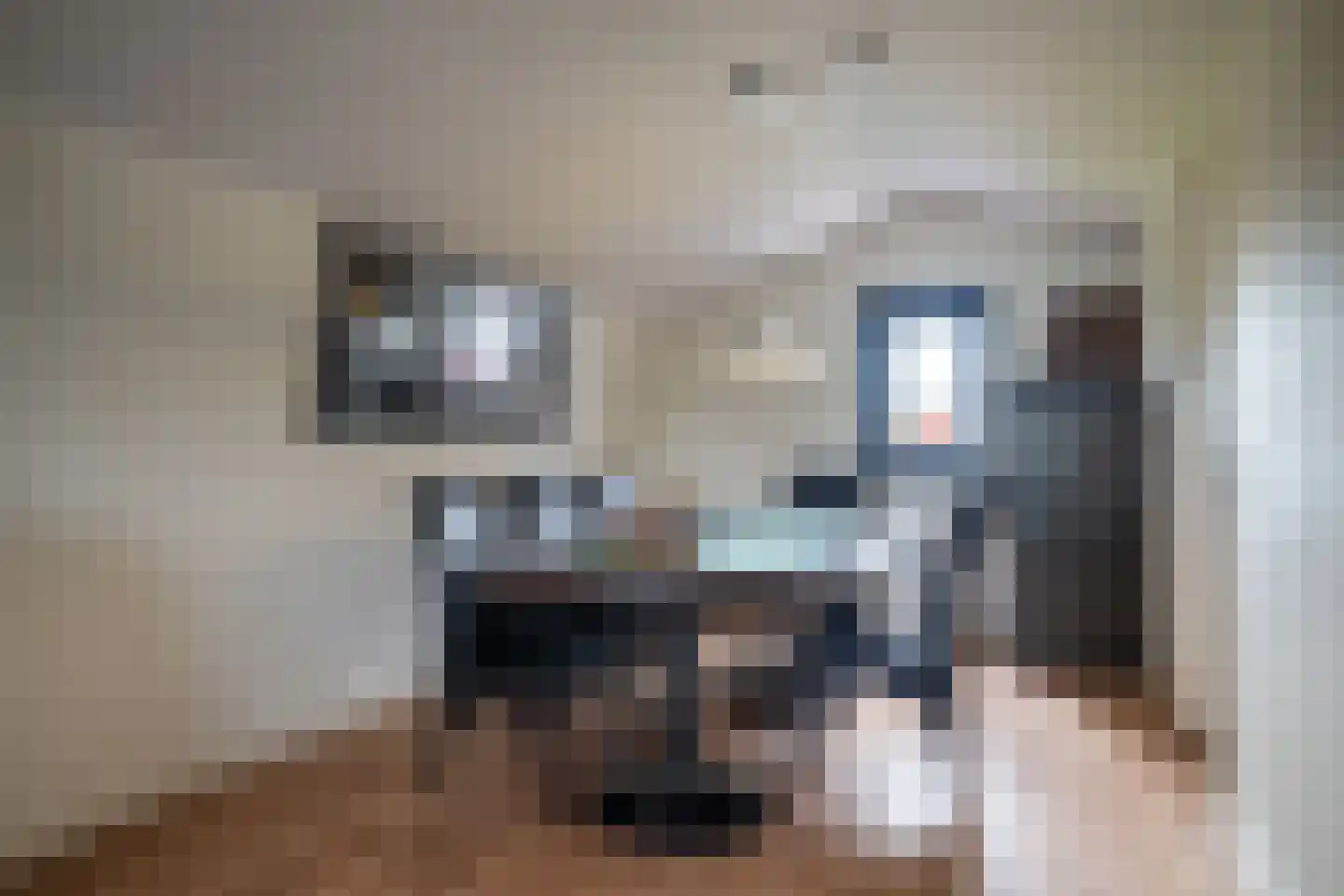 Noordeinde 90 Landsmeer thumbnail 37