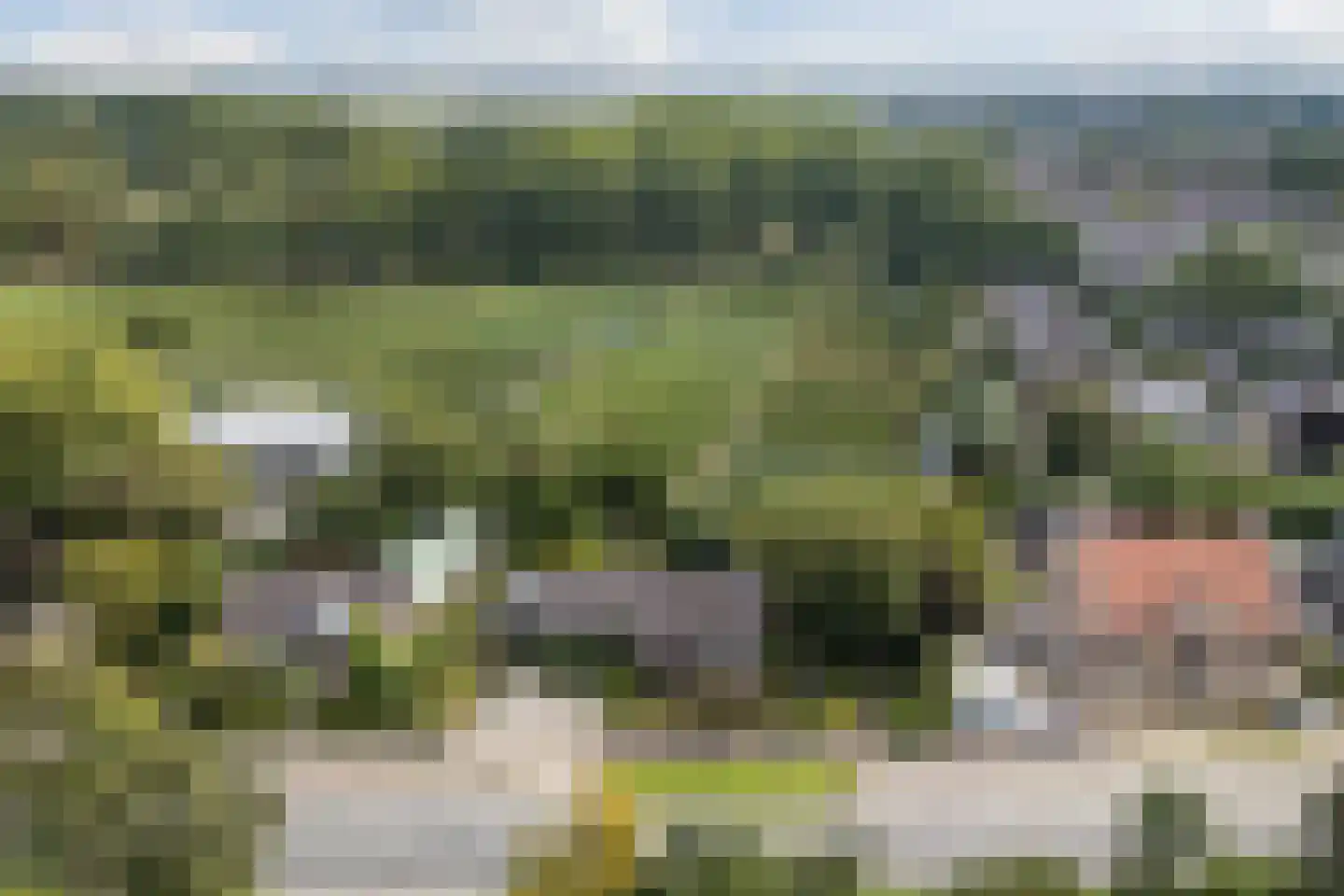 Noordeinde 91 Waddinxveen thumbnail 10