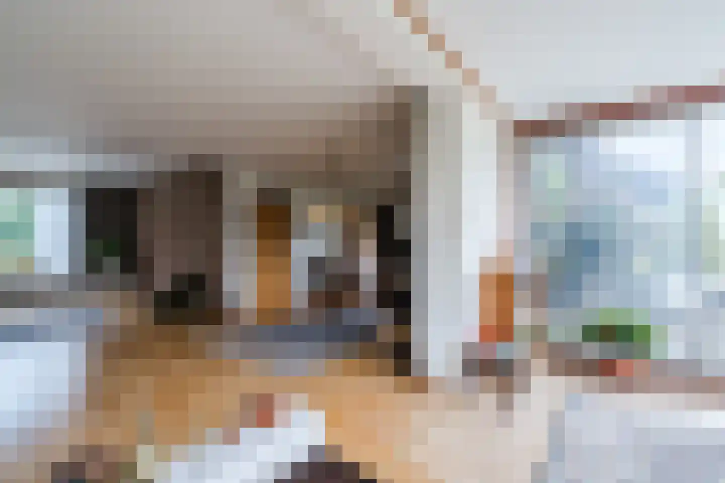 Noordeinde 91 Waddinxveen thumbnail 21