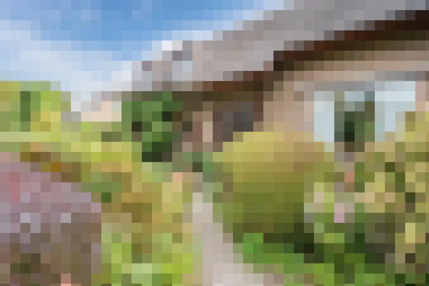 Noordeinde 91 Waddinxveen thumbnail 4