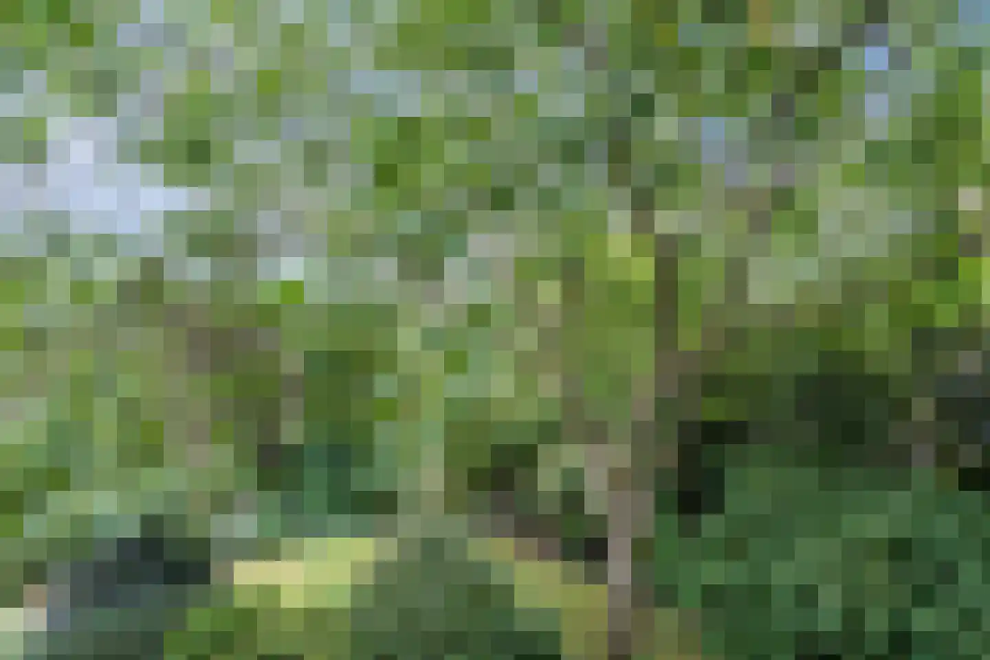 Noordeinde 91 Waddinxveen thumbnail 46