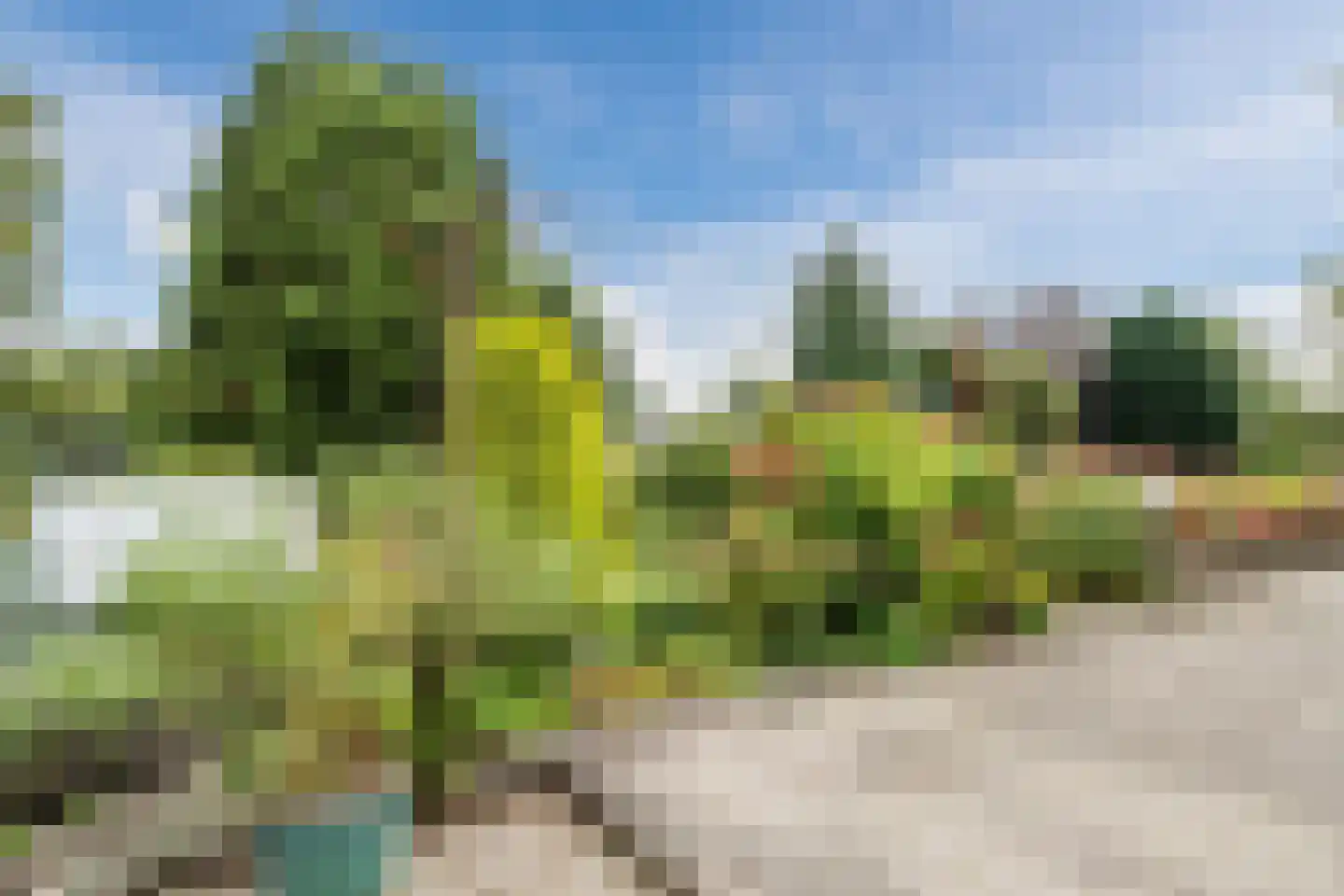 Noordeinde 91 Waddinxveen thumbnail 48