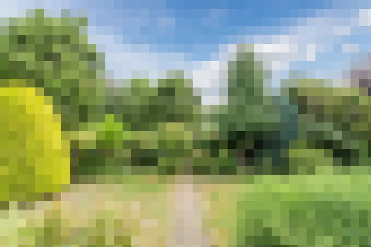 Noordeinde 91 Waddinxveen thumbnail 52
