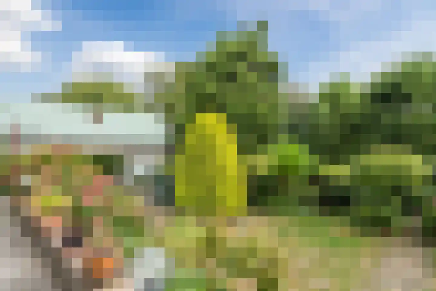 Noordeinde 91 Waddinxveen thumbnail 53