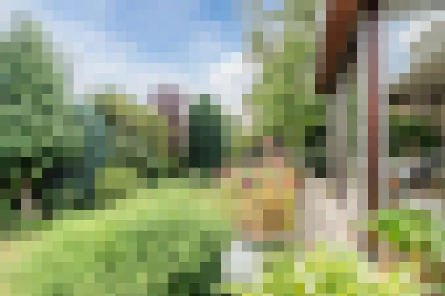 Noordeinde 91 Waddinxveen thumbnail 54
