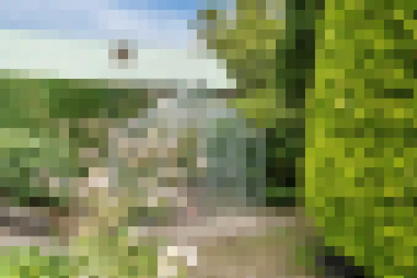 Noordeinde 91 Waddinxveen thumbnail 55