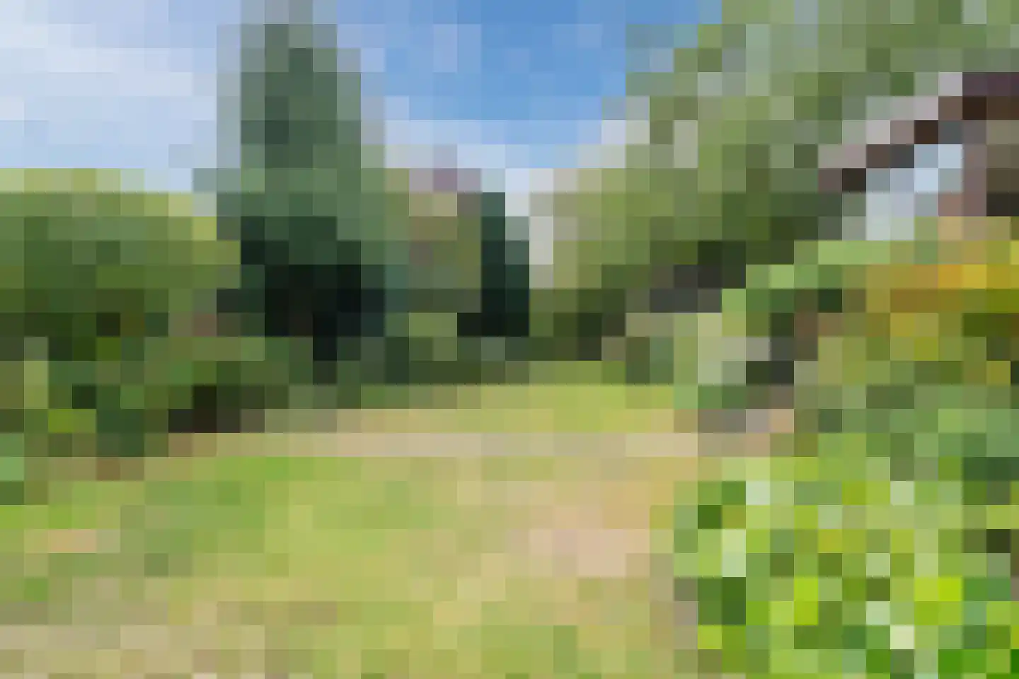 Noordeinde 91 Waddinxveen thumbnail 56