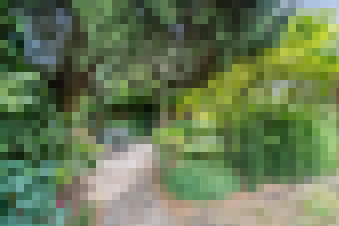 Noordeinde 91 Waddinxveen thumbnail 57