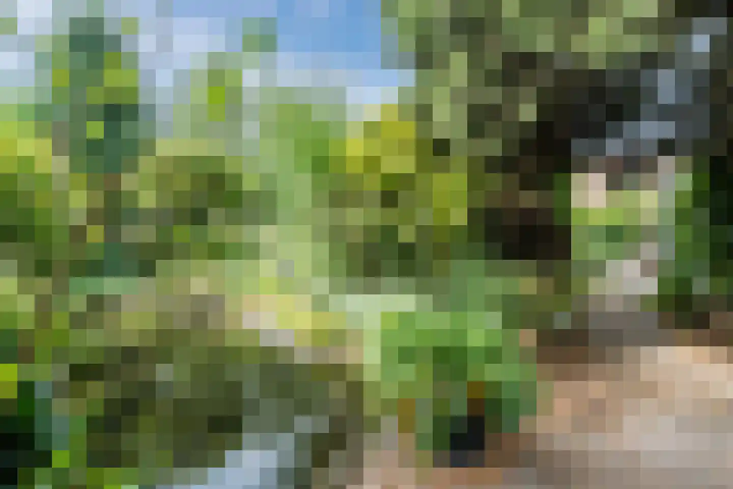 Noordeinde 91 Waddinxveen thumbnail 58