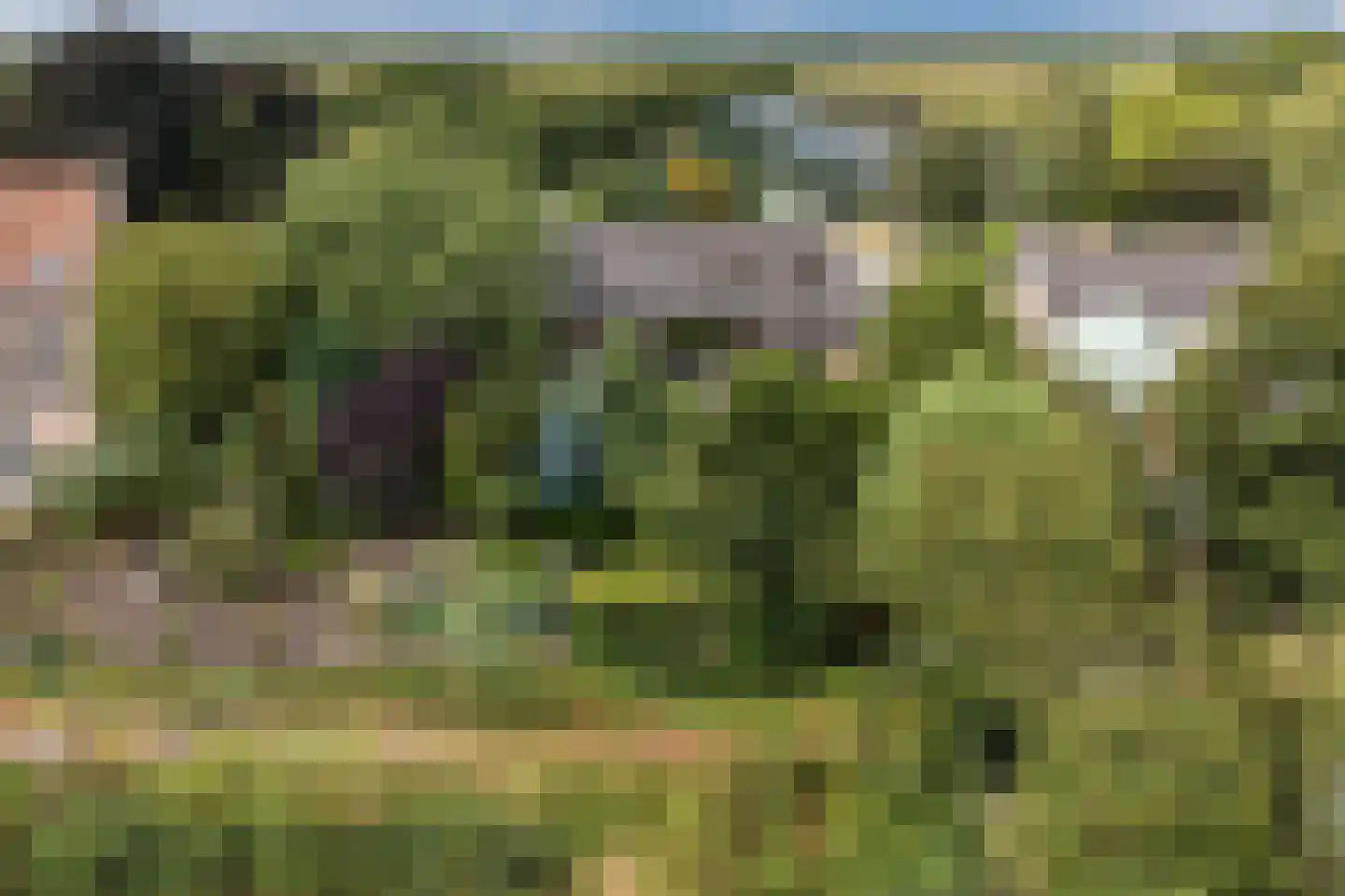Noordeinde 91 Waddinxveen thumbnail 6