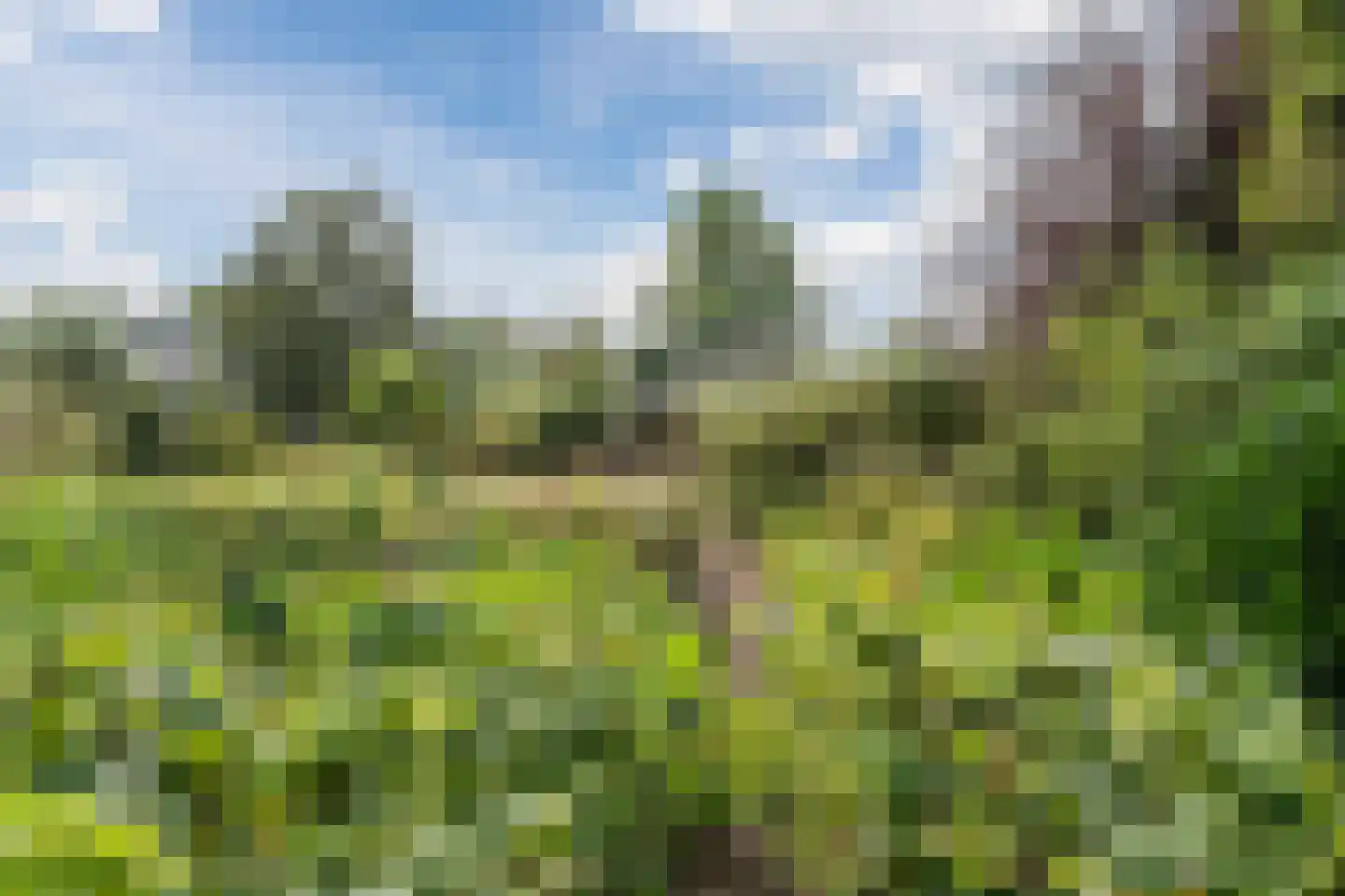 Noordeinde 91 Waddinxveen thumbnail 63