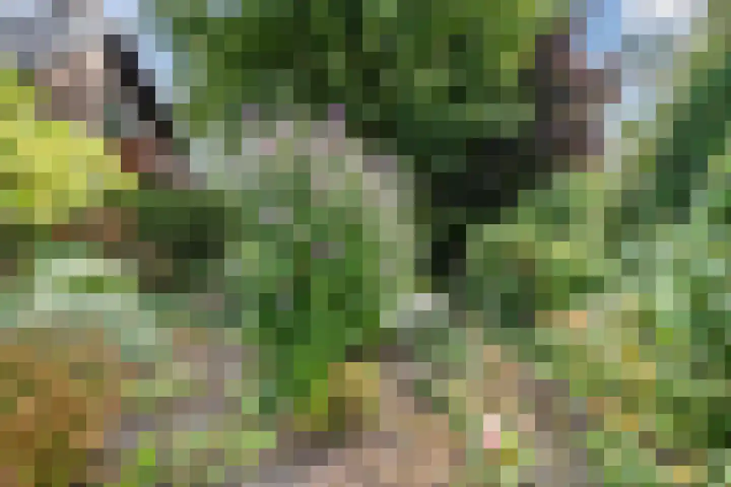 Noordeinde 91 Waddinxveen thumbnail 64