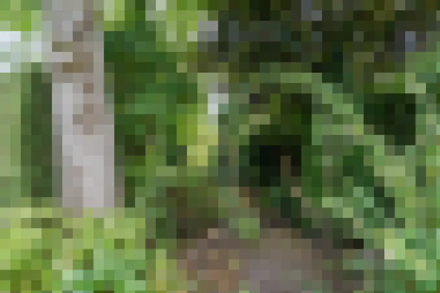 Noordeinde 91 Waddinxveen thumbnail 65
