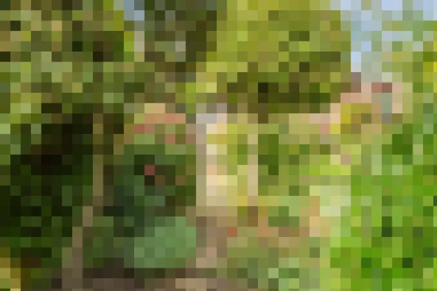 Noordeinde 91 Waddinxveen thumbnail 66