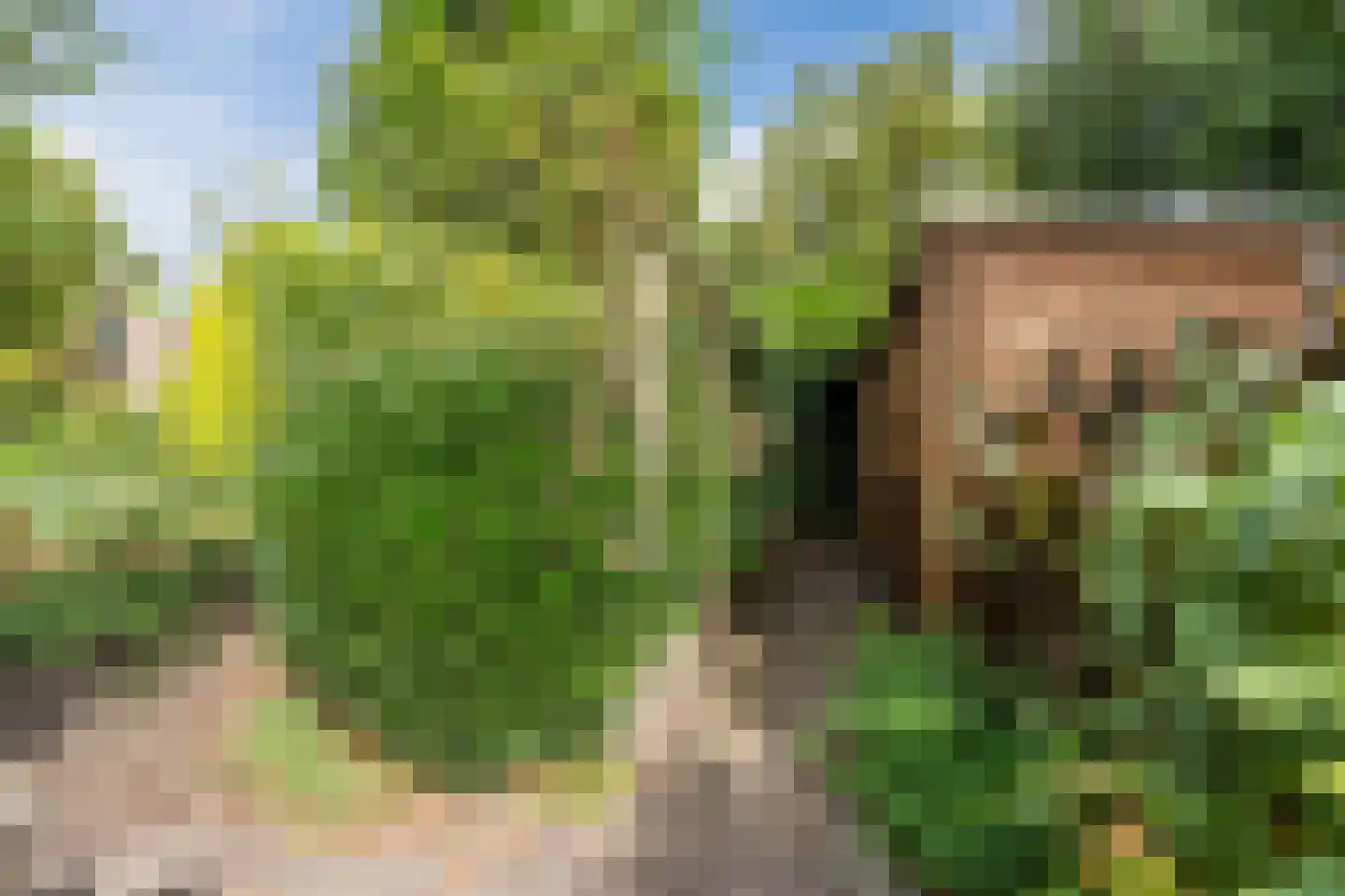 Noordeinde 91 Waddinxveen thumbnail 67