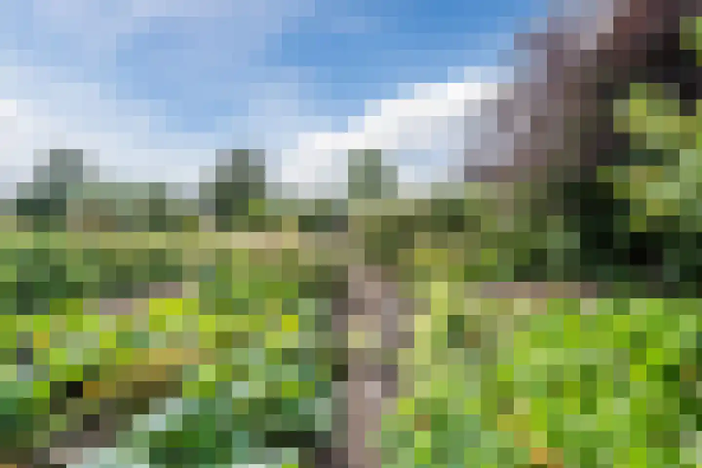 Noordeinde 91 Waddinxveen thumbnail 68