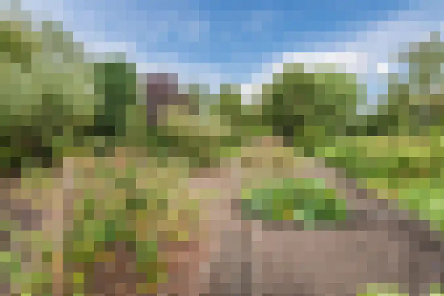 Noordeinde 91 Waddinxveen thumbnail 70