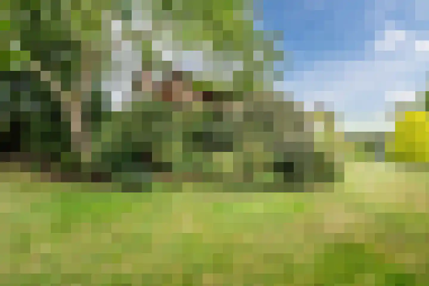 Noordeinde 91 Waddinxveen thumbnail 71