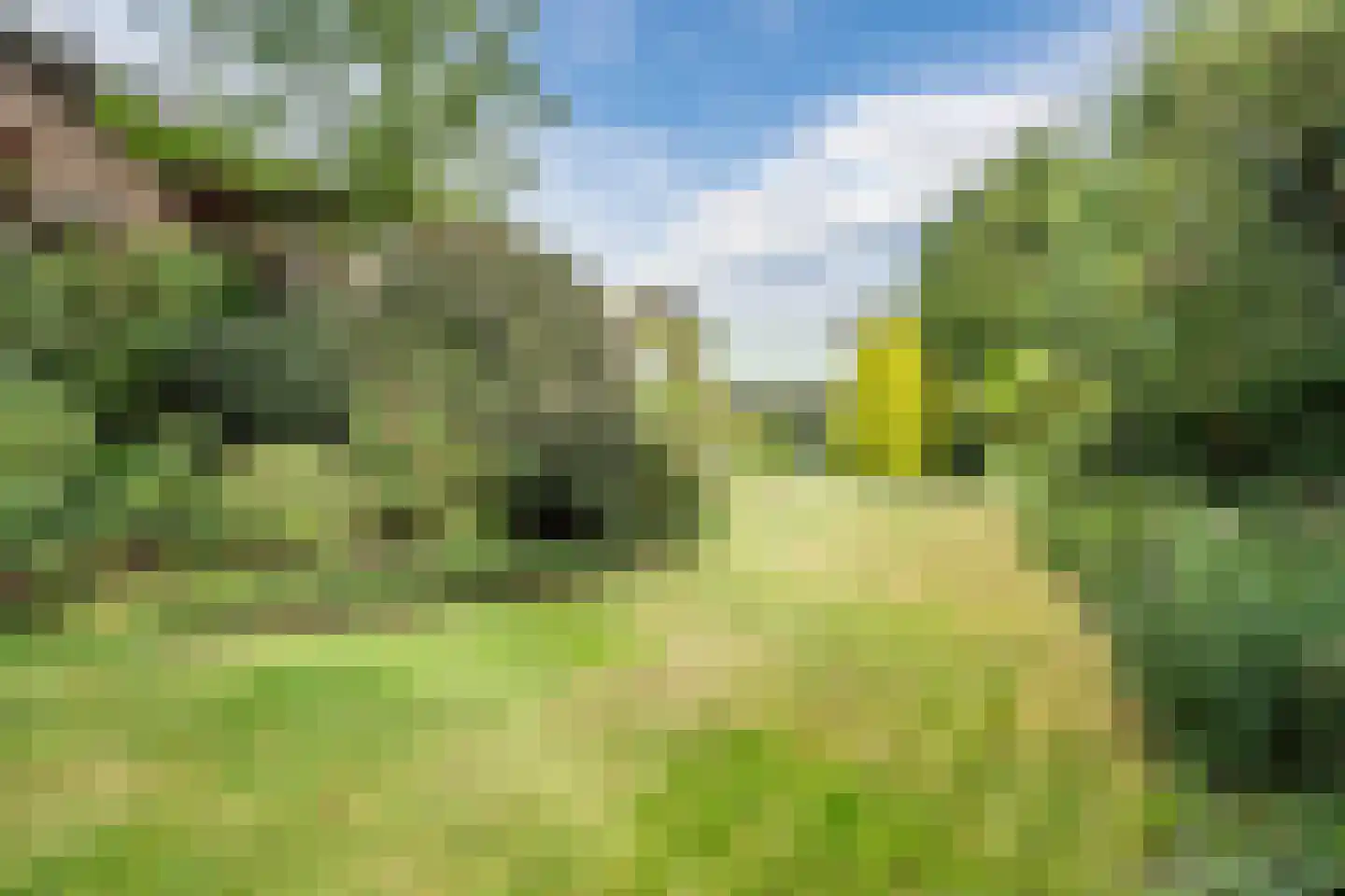 Noordeinde 91 Waddinxveen thumbnail 72