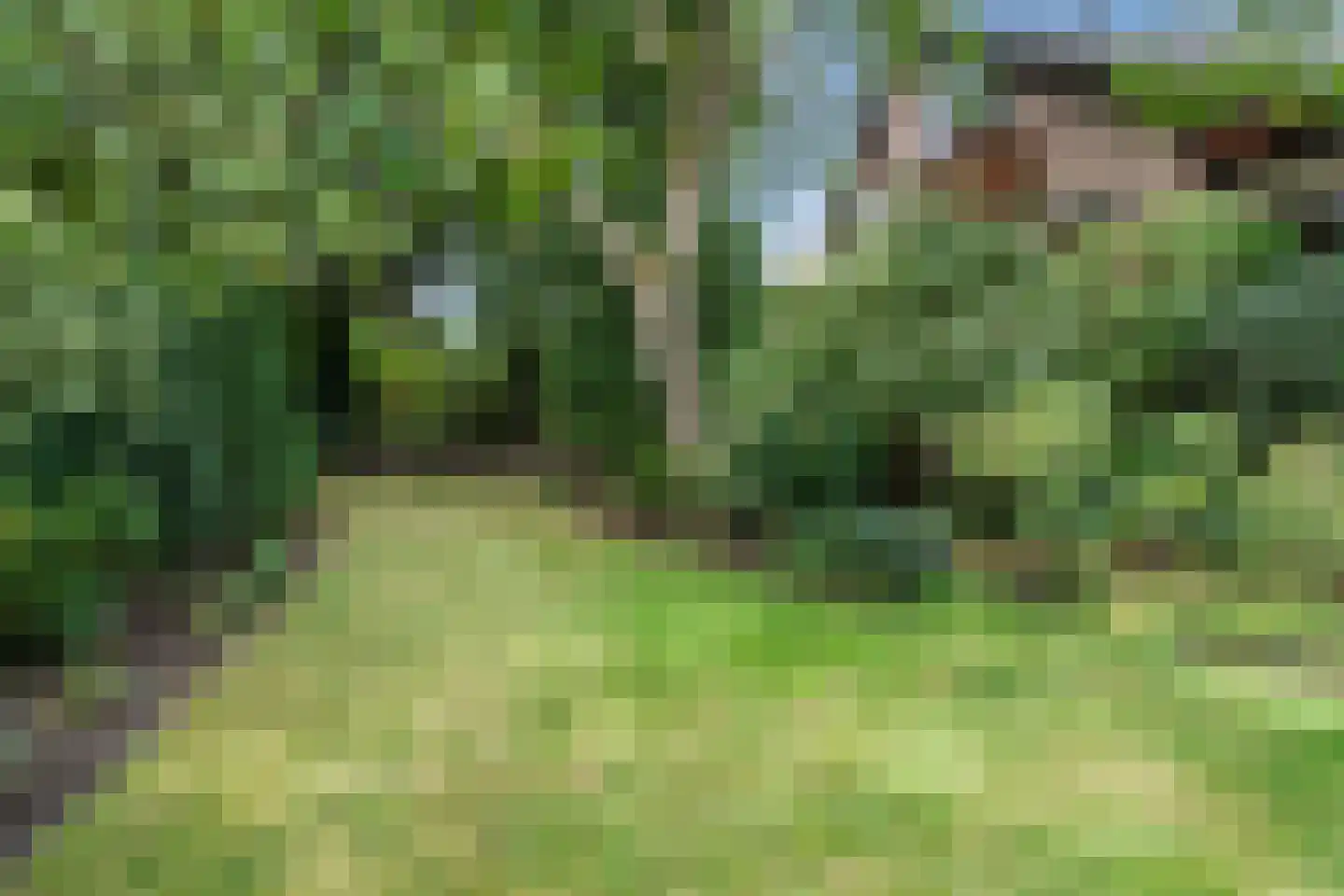 Noordeinde 91 Waddinxveen thumbnail 73