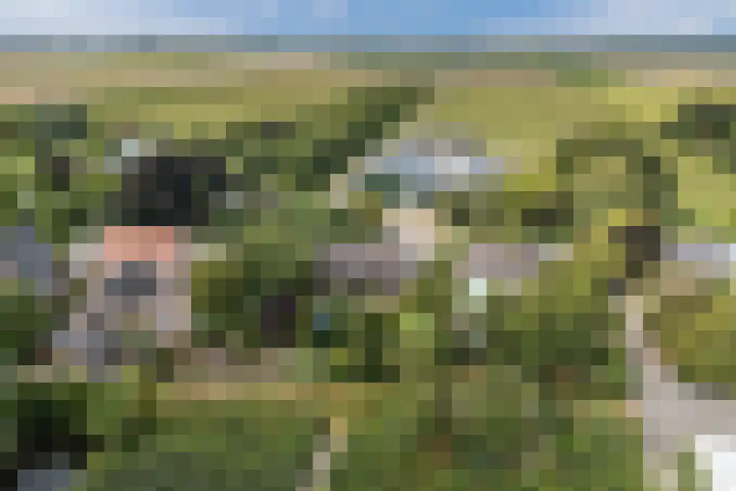 Noordeinde 91 Waddinxveen thumbnail 8