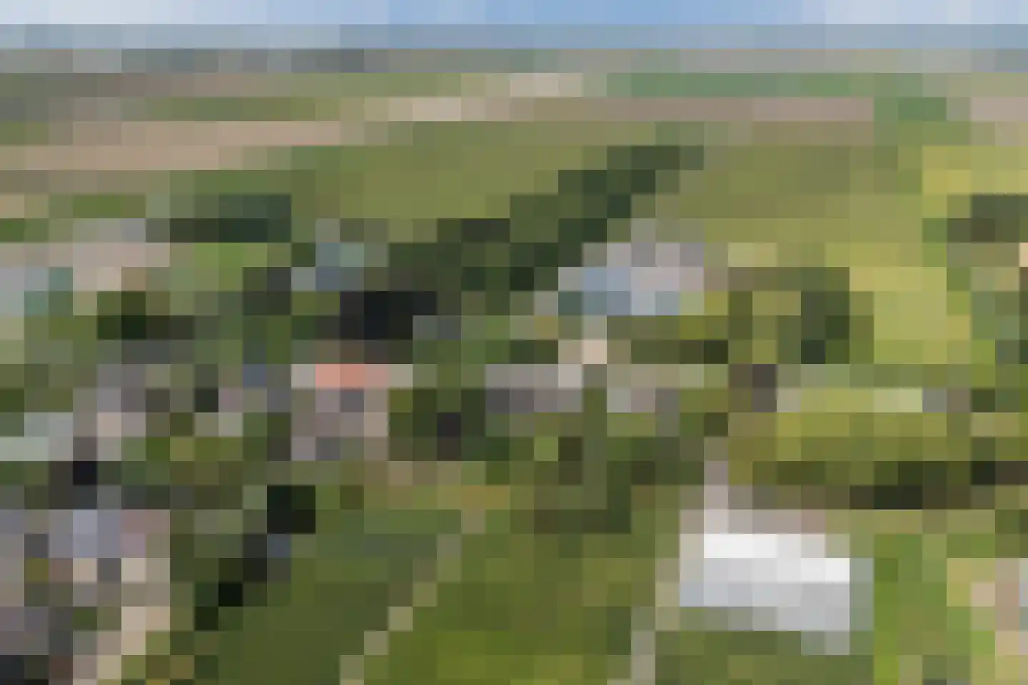 Noordeinde 91 Waddinxveen thumbnail 9