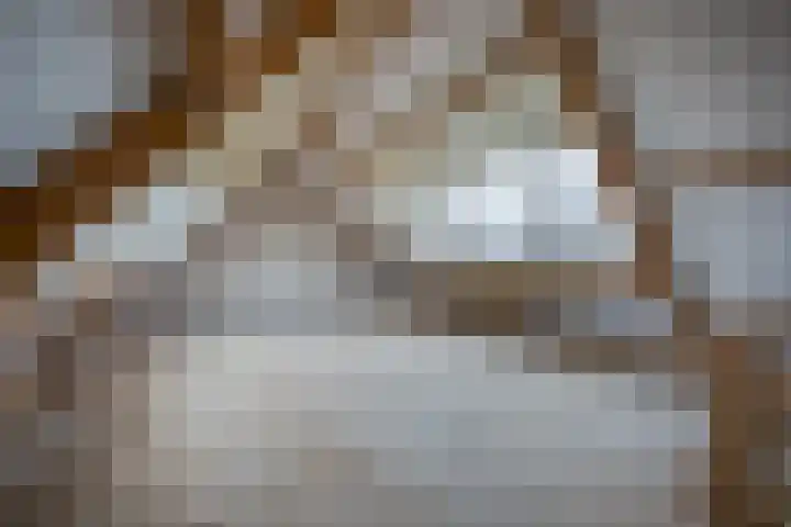 Noordeinde 92 Leimuiden thumbnail 25