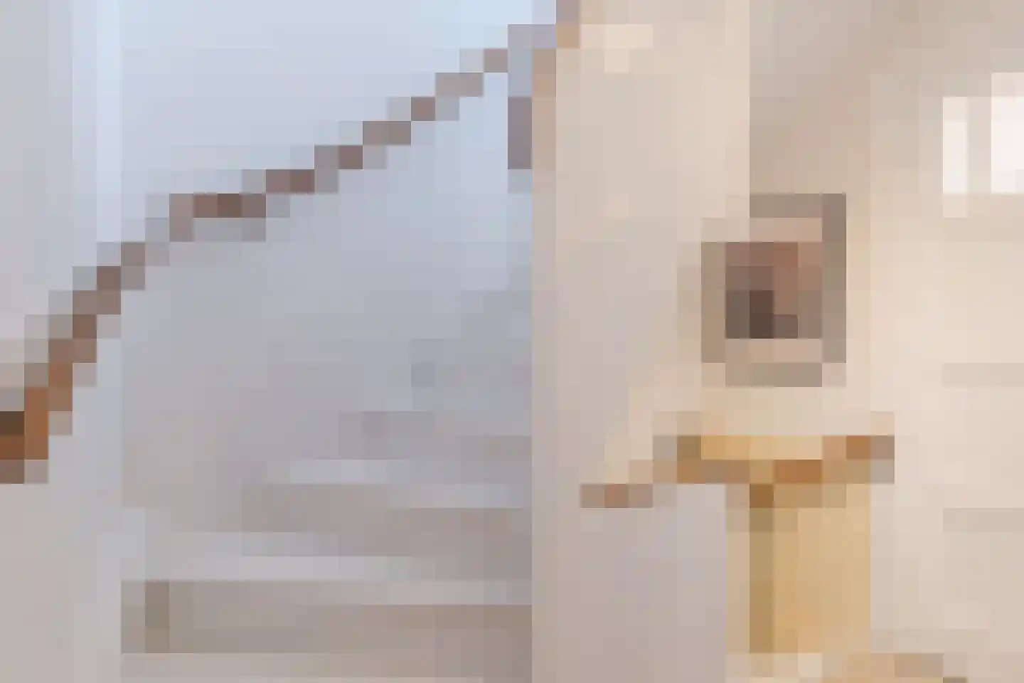 Noordeindestraat 3 Utrecht thumbnail 48