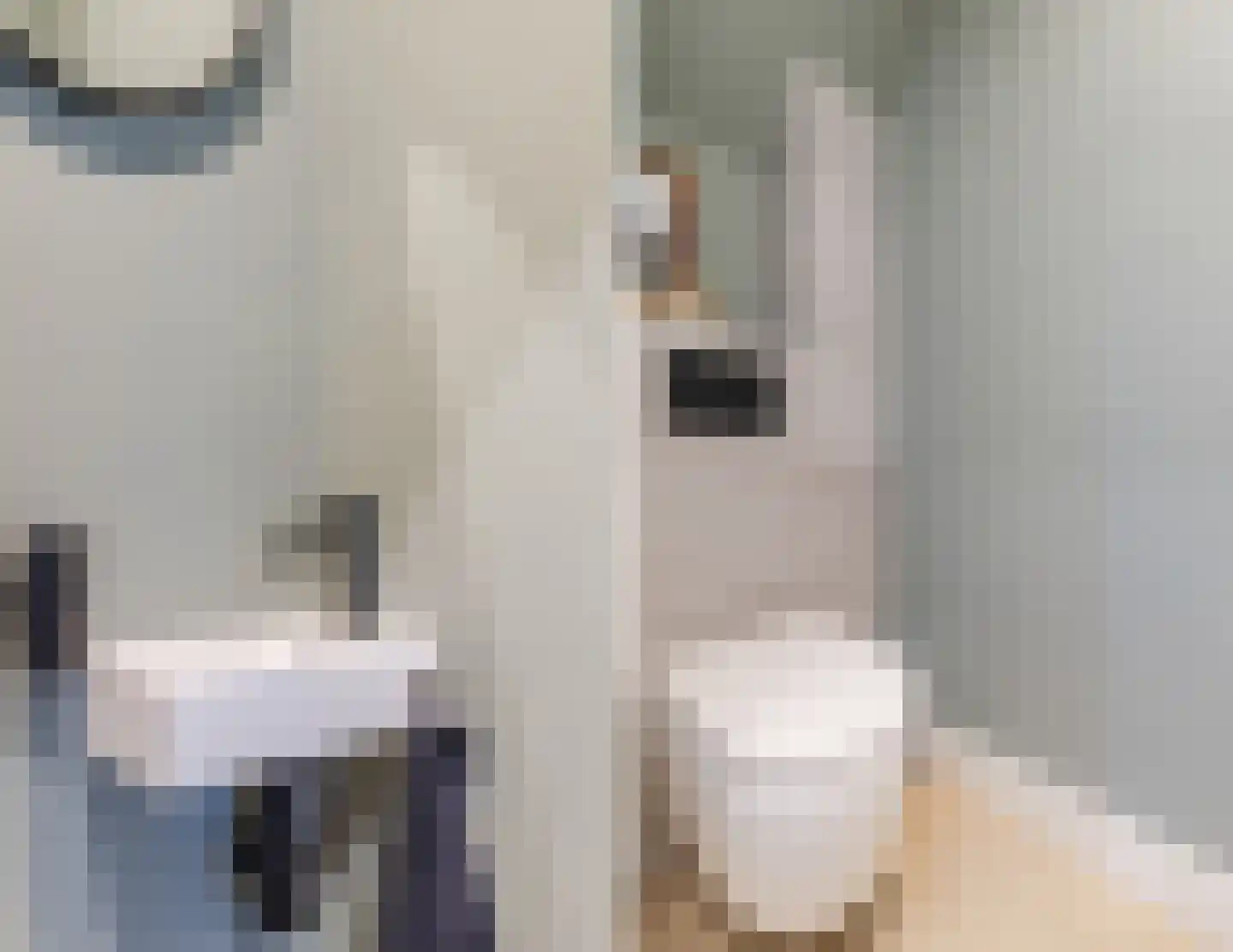 Noordeindestraat 3 Utrecht thumbnail 6