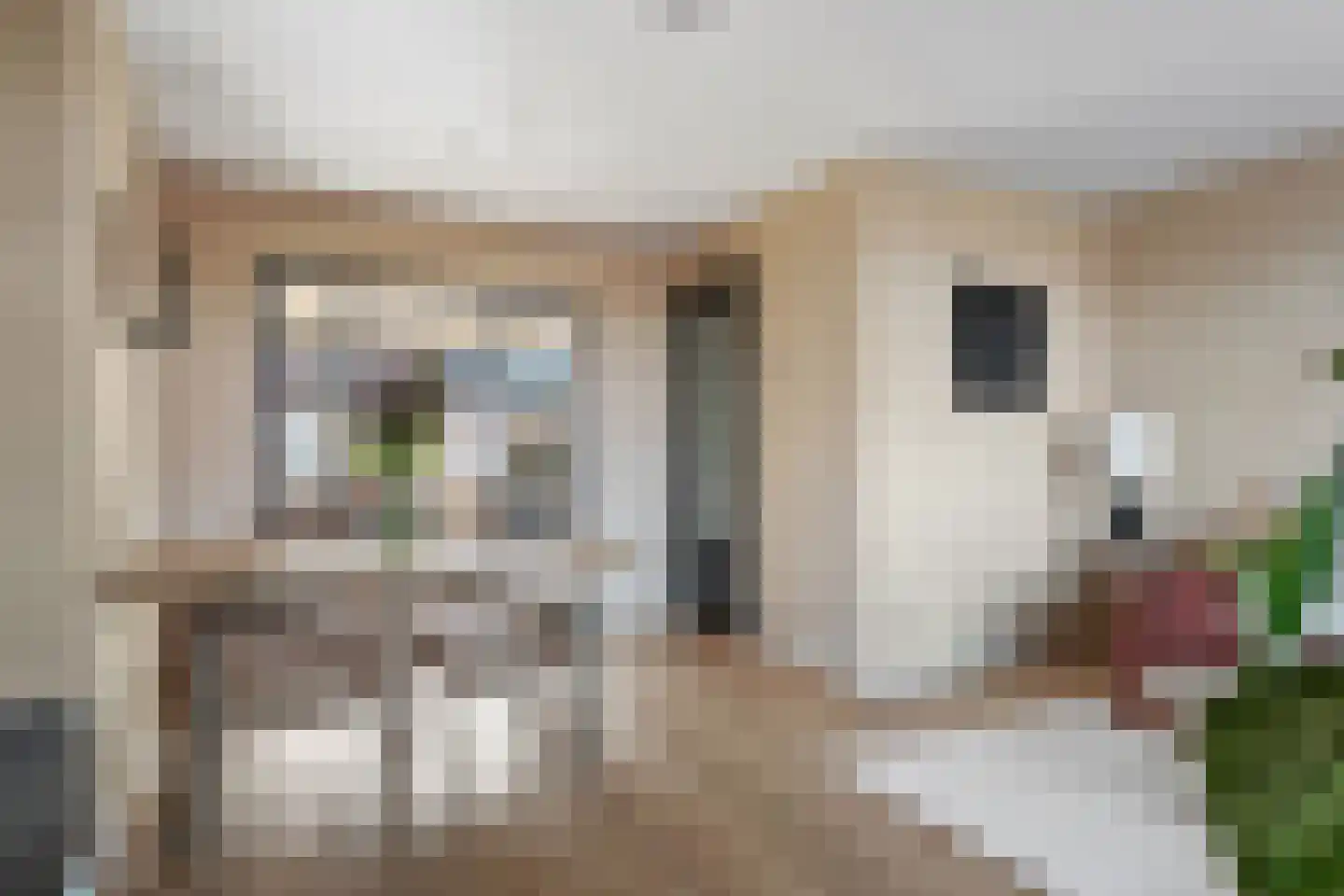 Noordeindestraat 41 Utrecht thumbnail 14