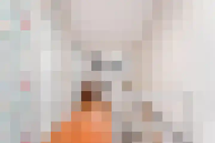Noordeindestraat 5 Utrecht thumbnail 21