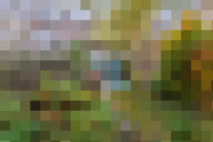 Noordeindestraat 5 Utrecht thumbnail 25