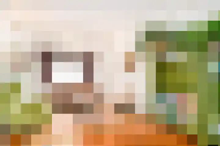 Noordeindestraat 5 Utrecht thumbnail 4